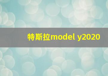 特斯拉model y2020